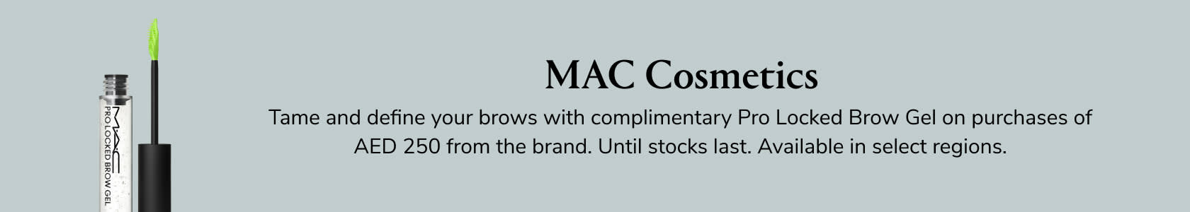 MAC Cosmetics GWP PDP+PLP WEB EN AED