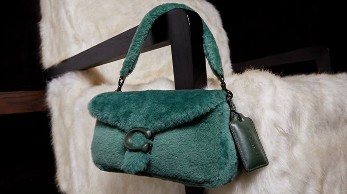 Coach Bag DSK PLP Banner
