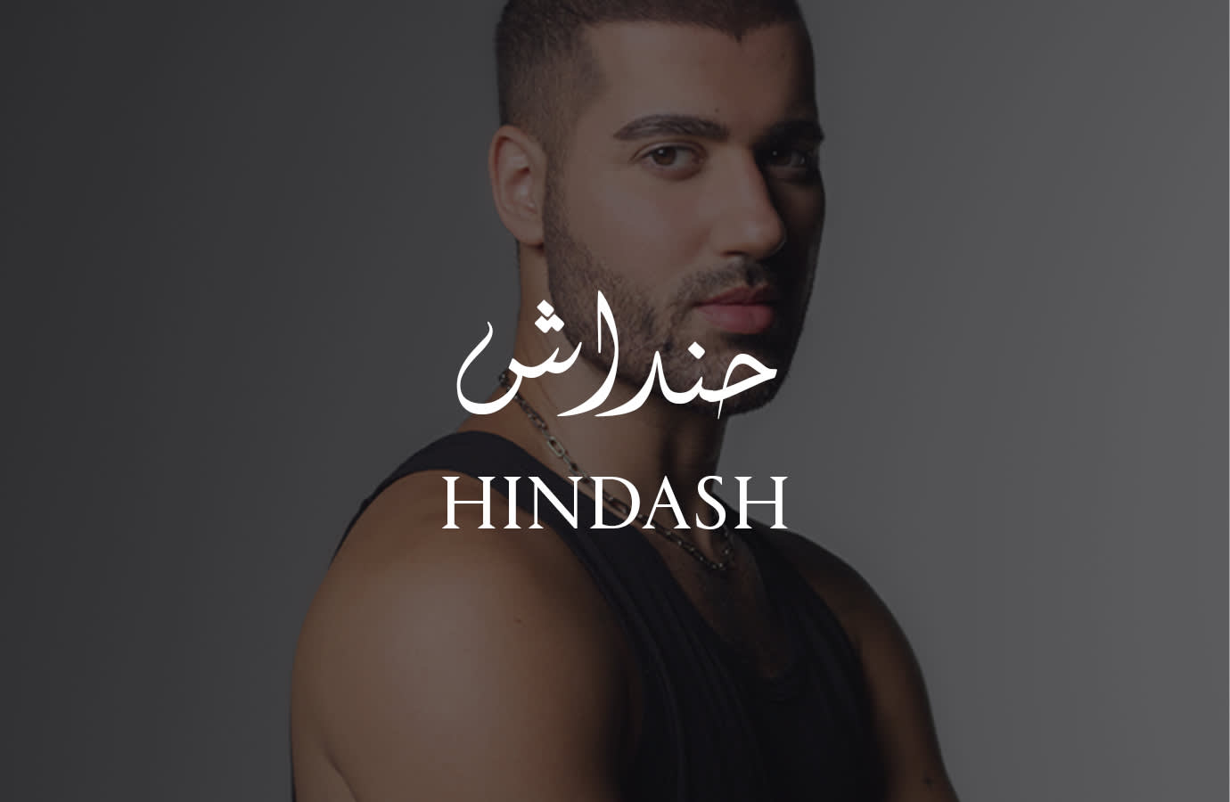 Hindash IMAGE TEXT PLP LP
