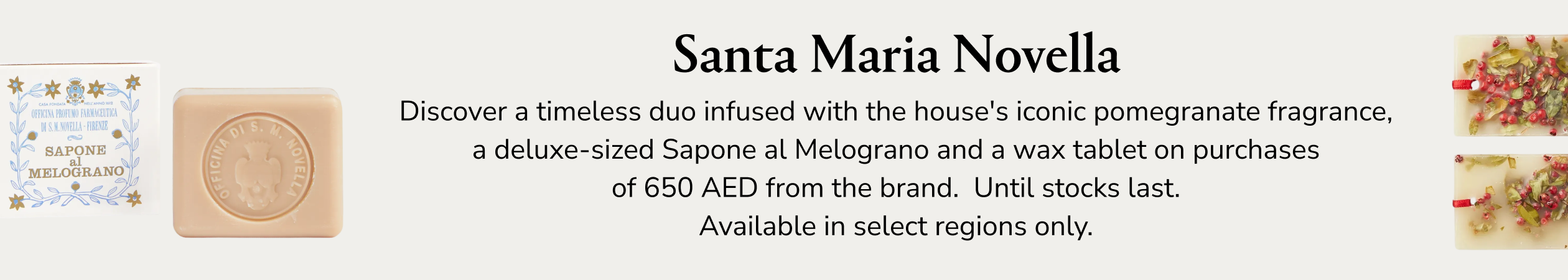 Santa Maria Novella GWP PDP+PLP WEB EN AED