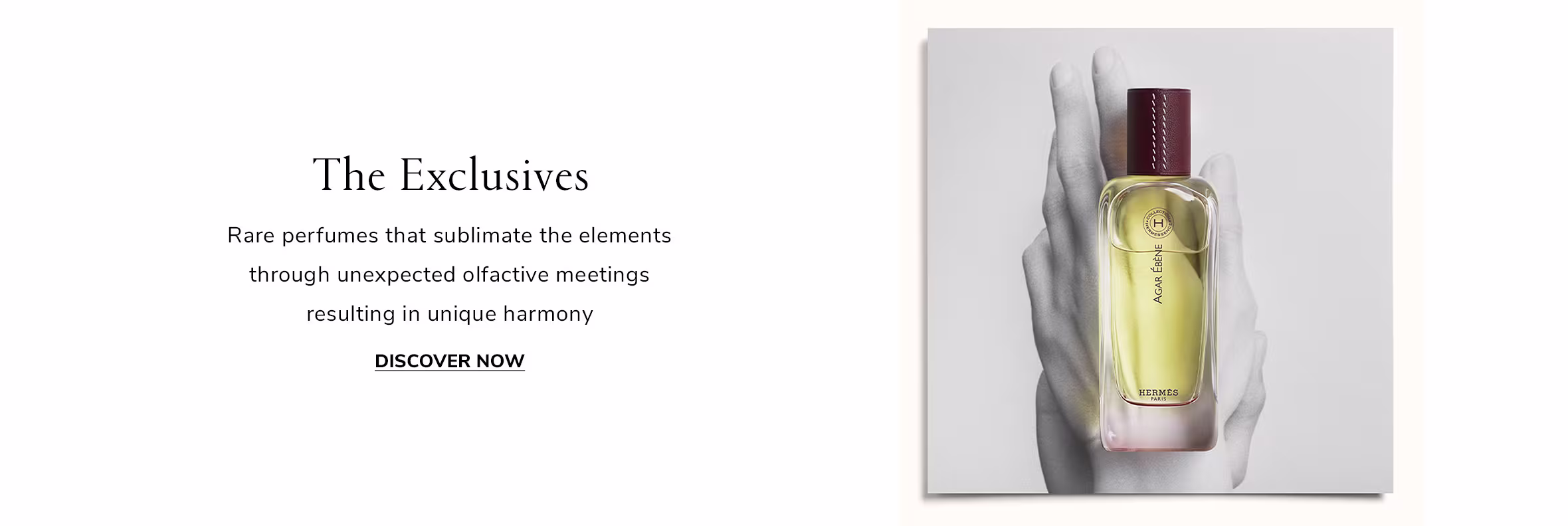 Element 1 Web EN WK1