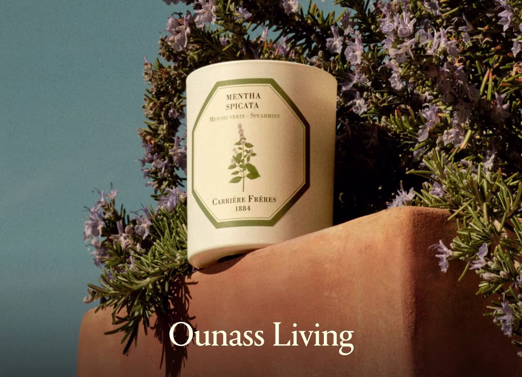 Living Banner DSK New EN