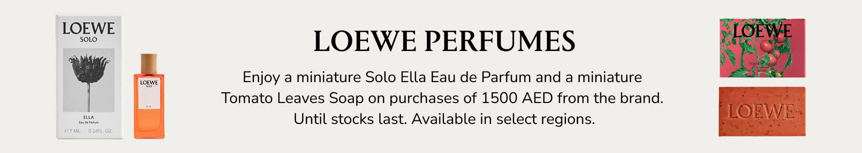 Loewe GWP PDP+PLP WEB EN AED