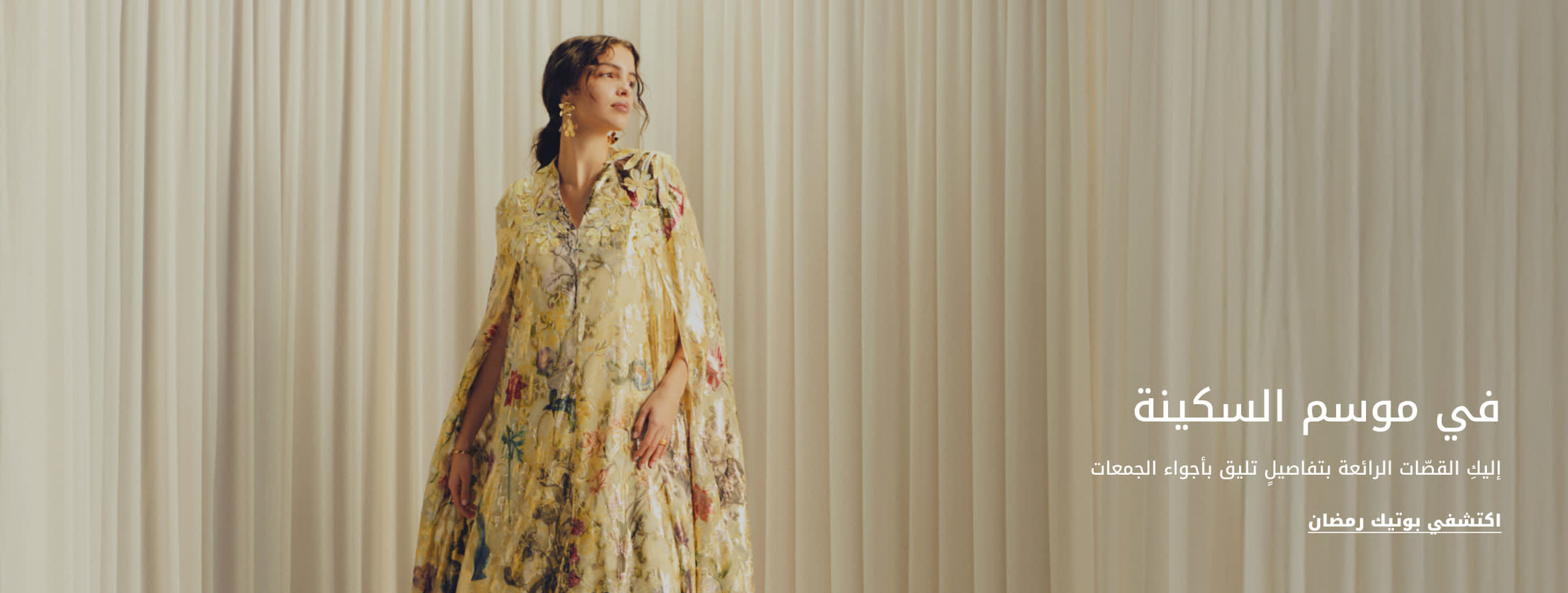 WW Strip Banner DSK AR