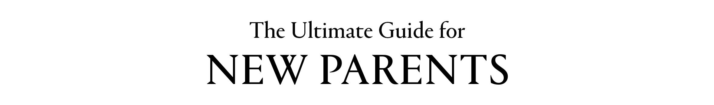 Web title EN