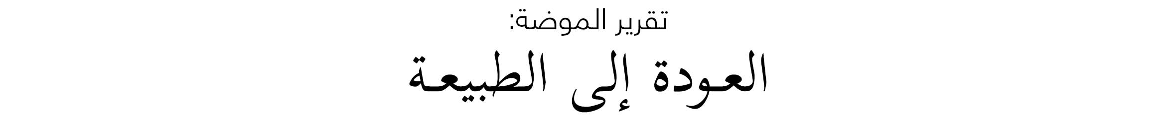 Arabic Lockup - Web-wk3