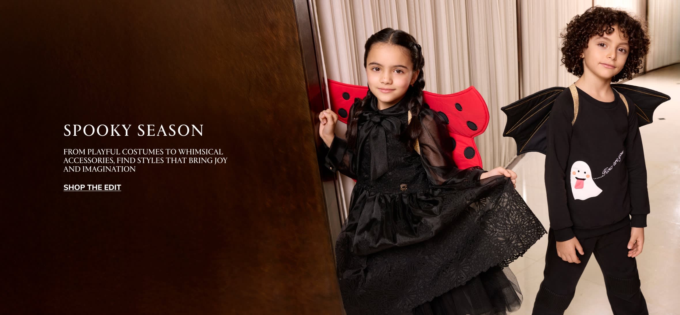 KW Strip Banner DSK EN