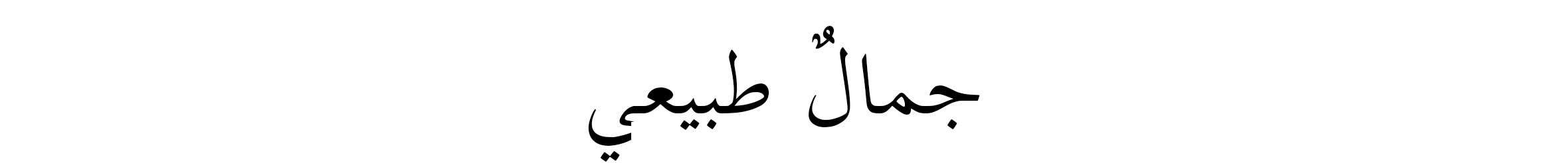 Arabic Lockup - Web