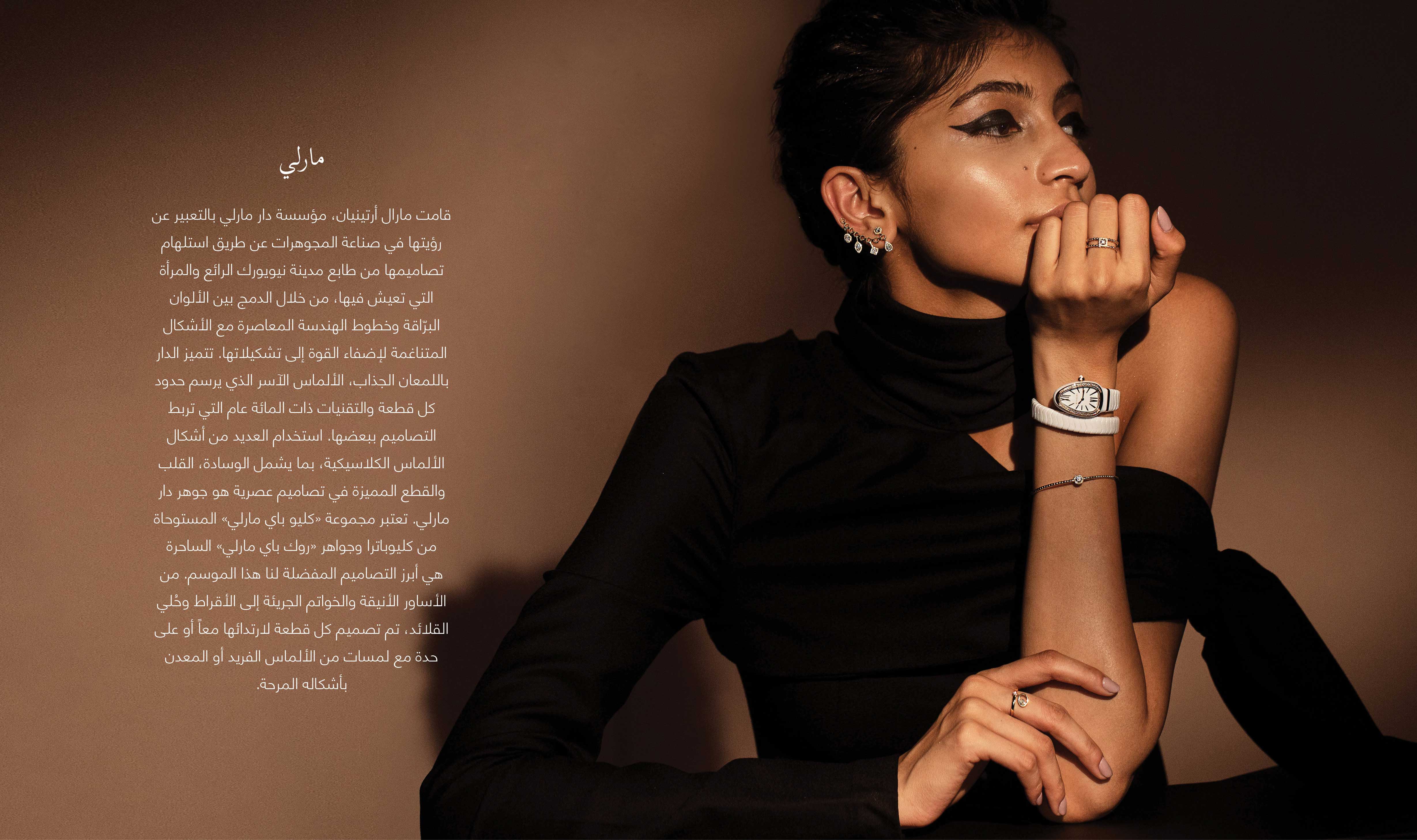 2 FJ element 1 WEB ARABIC