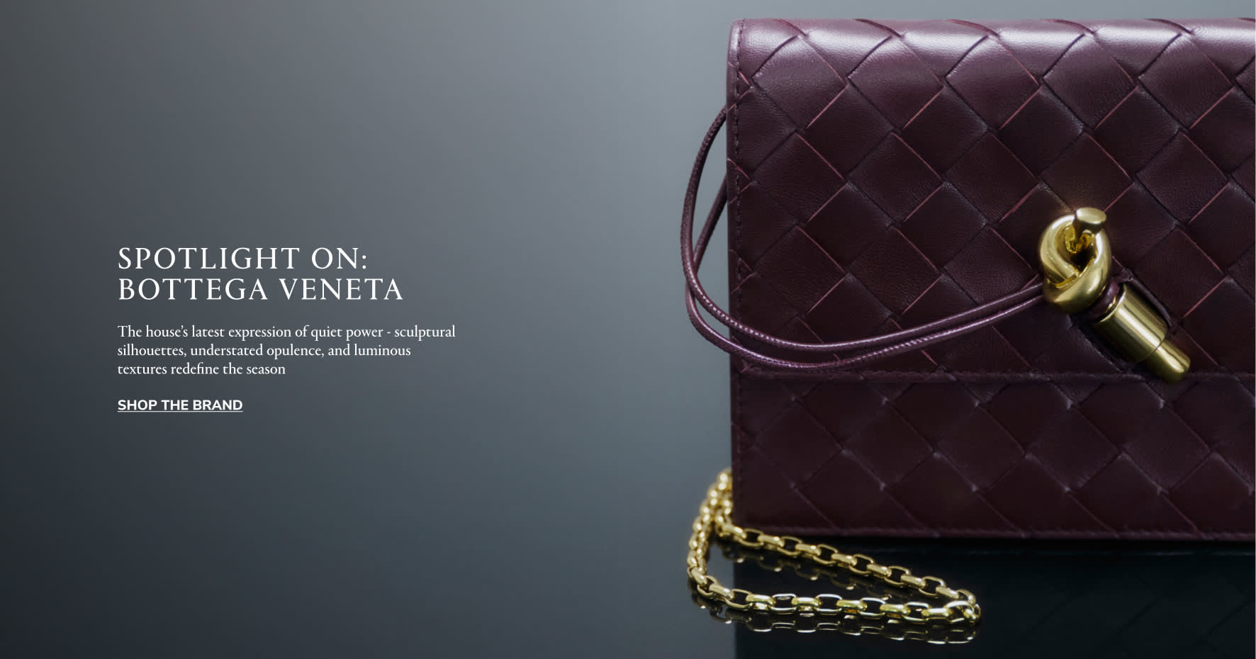 WW Strip Banner DSK EN