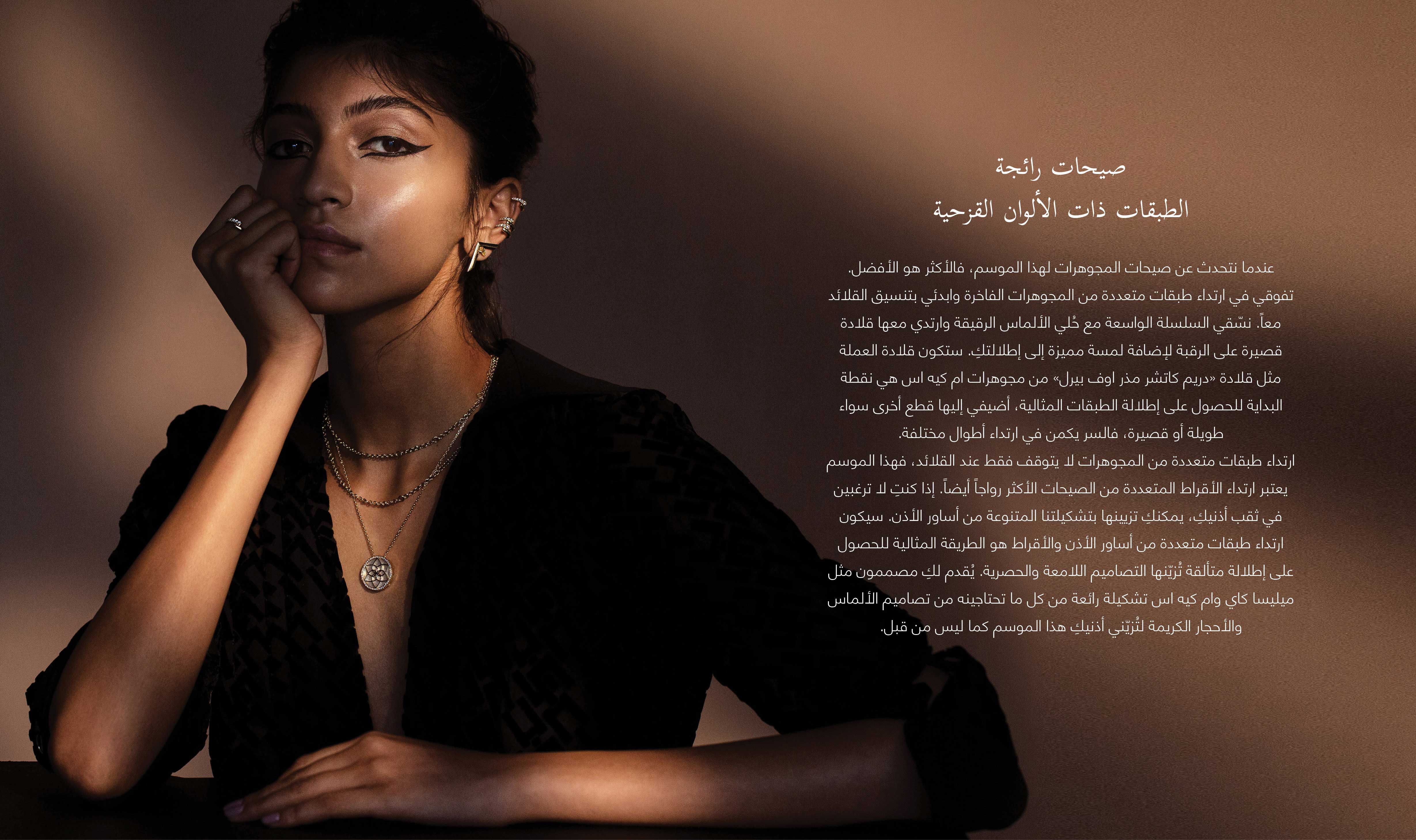 5 FJ element 1 WEB ARABIC2