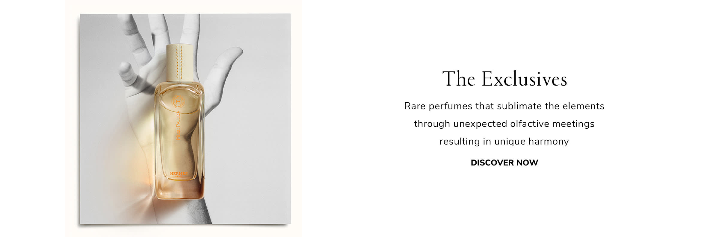 Element 2 Web EN WK31