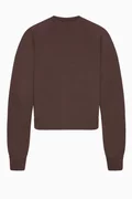 Iron