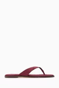 نبيتي
