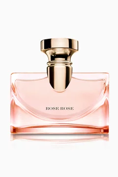 Splendida Rose Rose