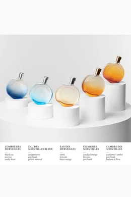 Hermes l ́ambre des merveilles sales