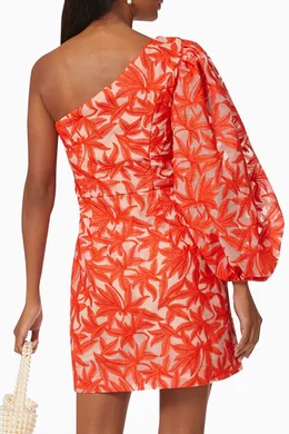 Parallel store dress images