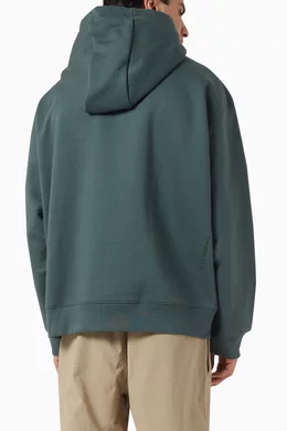 Nike therma fit store hoodie