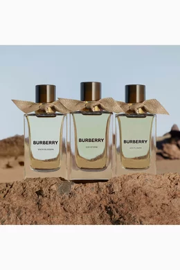 Buy Burberry Beauty Colourless Extreme Botanicals Oud Storm Eau de