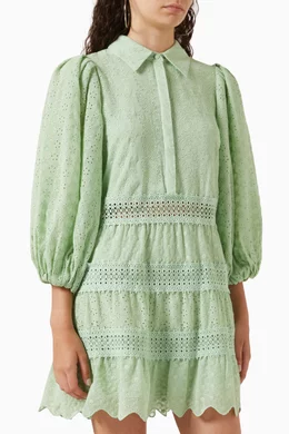 Alice and deals olivia blakesley dress