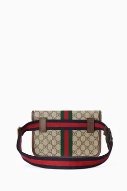 Gucci belt hotsell bags price