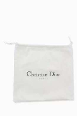 Dior saddle dust discount bag