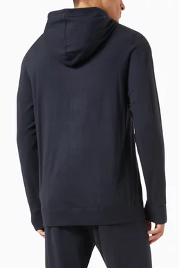 Tommy hilfiger store jersey logo hoodie