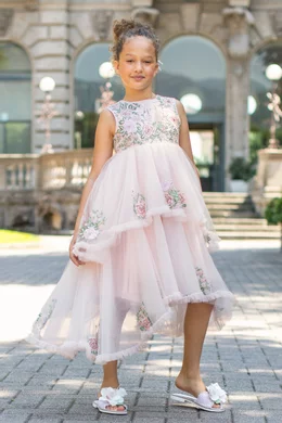 Ava on sale embroidered dress