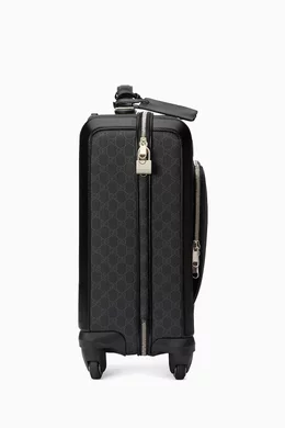 Smallest trolley sale bag