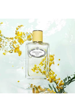 Les infusions de prada mimosa new arrivals