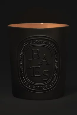 Buy Diptyque Baies Candle, 600g For UNISEX Online | Ounass UAE