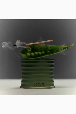 アロマグッズ LOEWE Luscious Pea Scented Candle 170g Buy LOEWE PERFUMES Small Green Luscious Pea Scented Candle, 170g