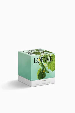 【希少】新品LOEWE Scented Candle Cucumber 170g Buy LOEWE PERFUMES Small Cucumber Scented Candle, 170g For UNISEX