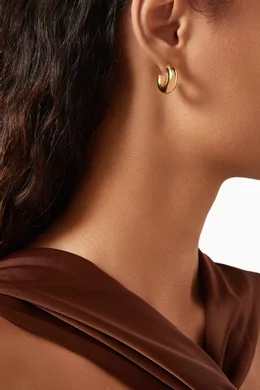 Chubby hoop earrings discount