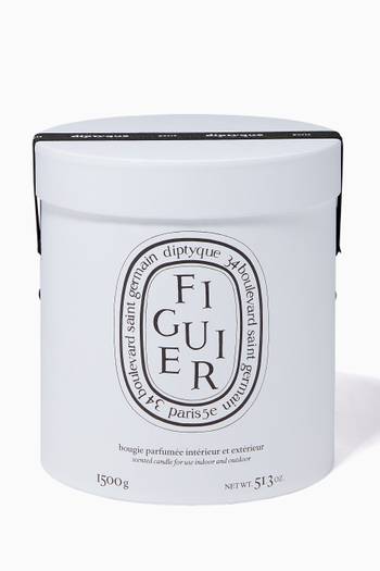 hover state of Figuier Candle, 1500g  