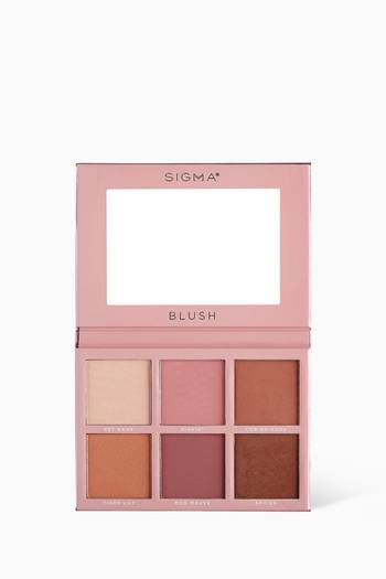 hover state of Blush Cheek Palette  
