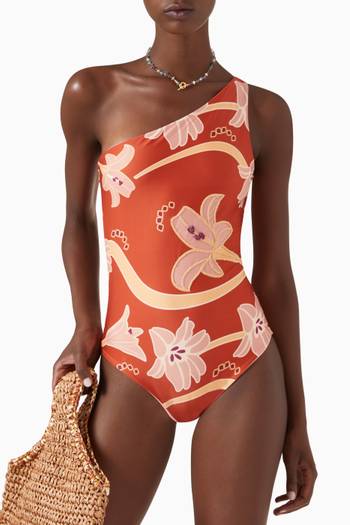 hover state of Ornella One-piece Swimsuit in Lycra