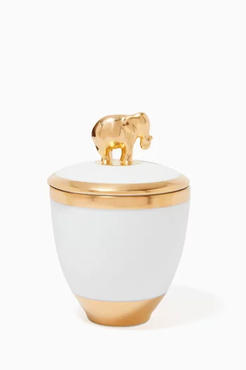 شمعة بوعاء بورسلين ليموج بتصميم فيل