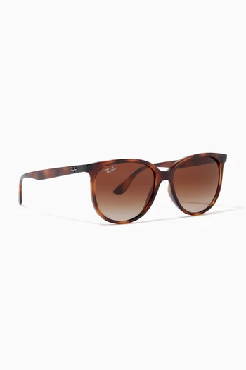 RB4378 Square Sunglasses in Injected Plastic 