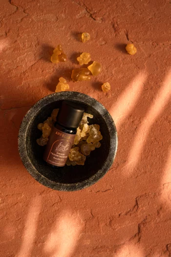 Omani Frankincense - Wild-harvested Essential Oil, 10ml