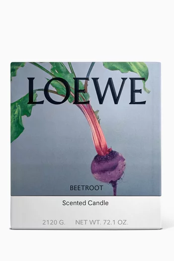 Large Beetroot Scented Candle, 2120g