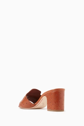 Summer Charms 55 Mule Sandals in Ostrich Leather