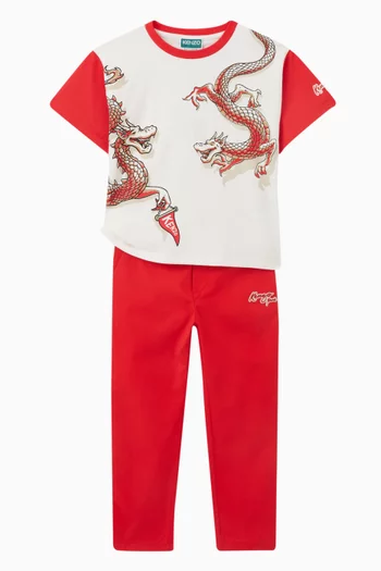 Dragon-print T-shirt in Jersey
