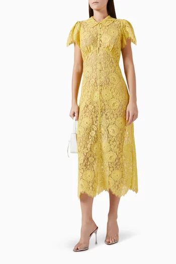 Nandi Sheer Midi Dress in Lace