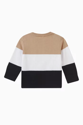 Crew Neck Sweatshirt in Cotton