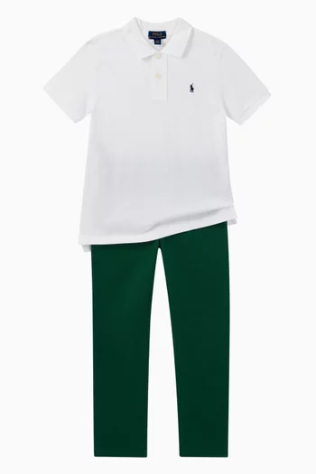 Cotton Mesh Polo Shirt