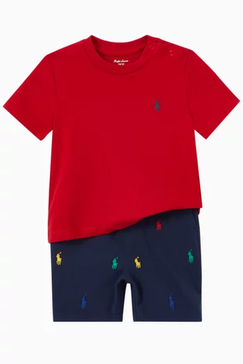Crewneck T-shirt in Cotton Jersey   