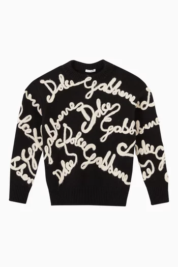 Logo Embroidery Crewneck Pullover in Wool Knit
