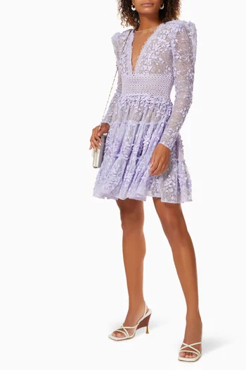 Megan Mini Dress in Embroidered Mesh 