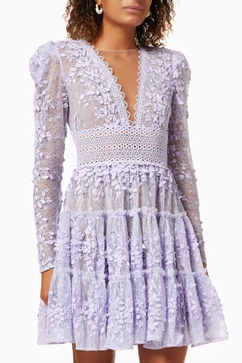 Megan Mini Dress in Embroidered Mesh 